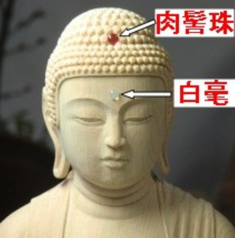 の おでこ 大仏 なぜ大仏が作られた？日本各地にある巨大な仏像の魅力